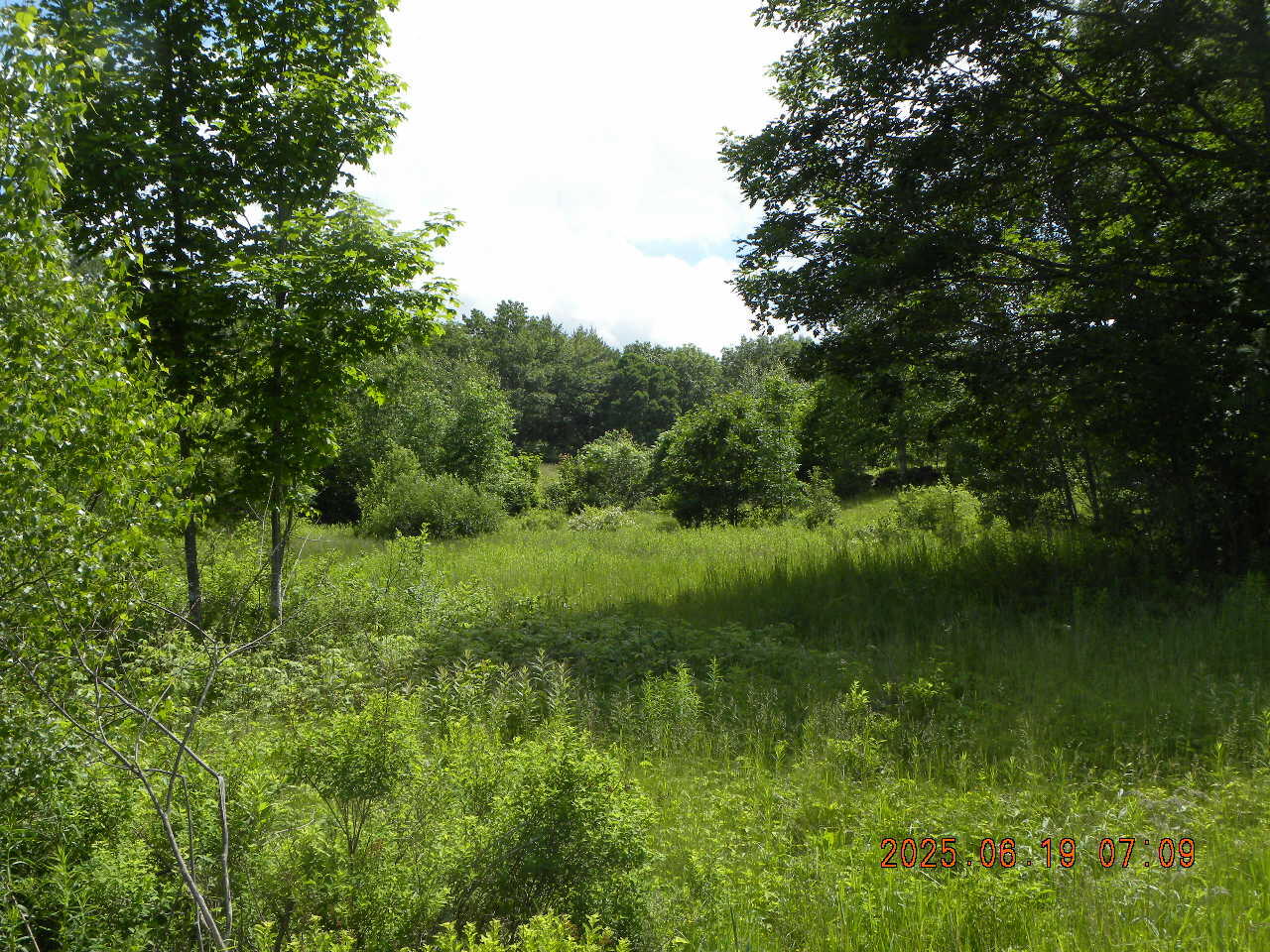 105 Garland Road West Newfield, ME 04095 - Photo 50 of 63 DSCN9418