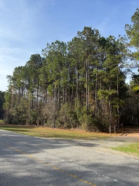 0 Myers Mayo Road, Unit LOT 2 Ridgeville, SC 29472 - Photo 2 of 6 Myers Mayo Lot 2