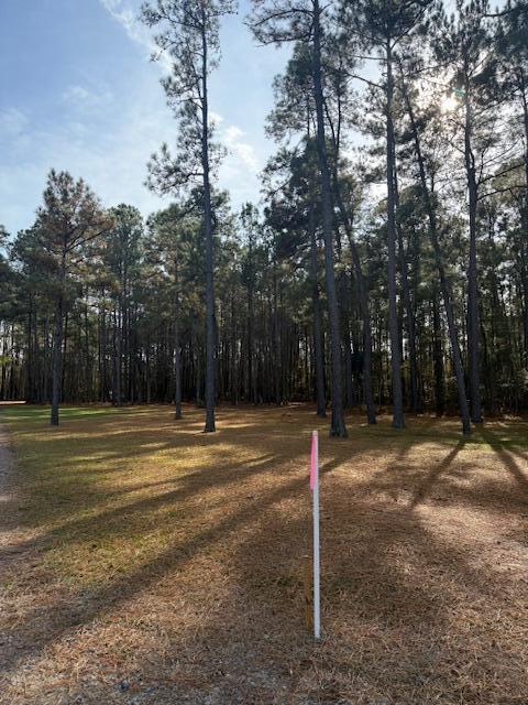 0 Myers Mayo Road, Unit LOT 2 Ridgeville, SC 29472 - Photo 4 of 6 Myers Mayo Lot 2 4