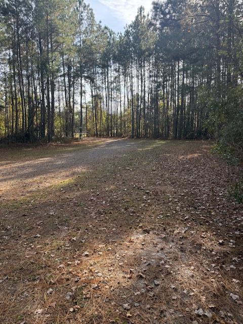 0 Myers Mayo Road, Unit LOT 2 Ridgeville, SC 29472 - Photo 5 of 6 Myers Mayo Lot 2 2