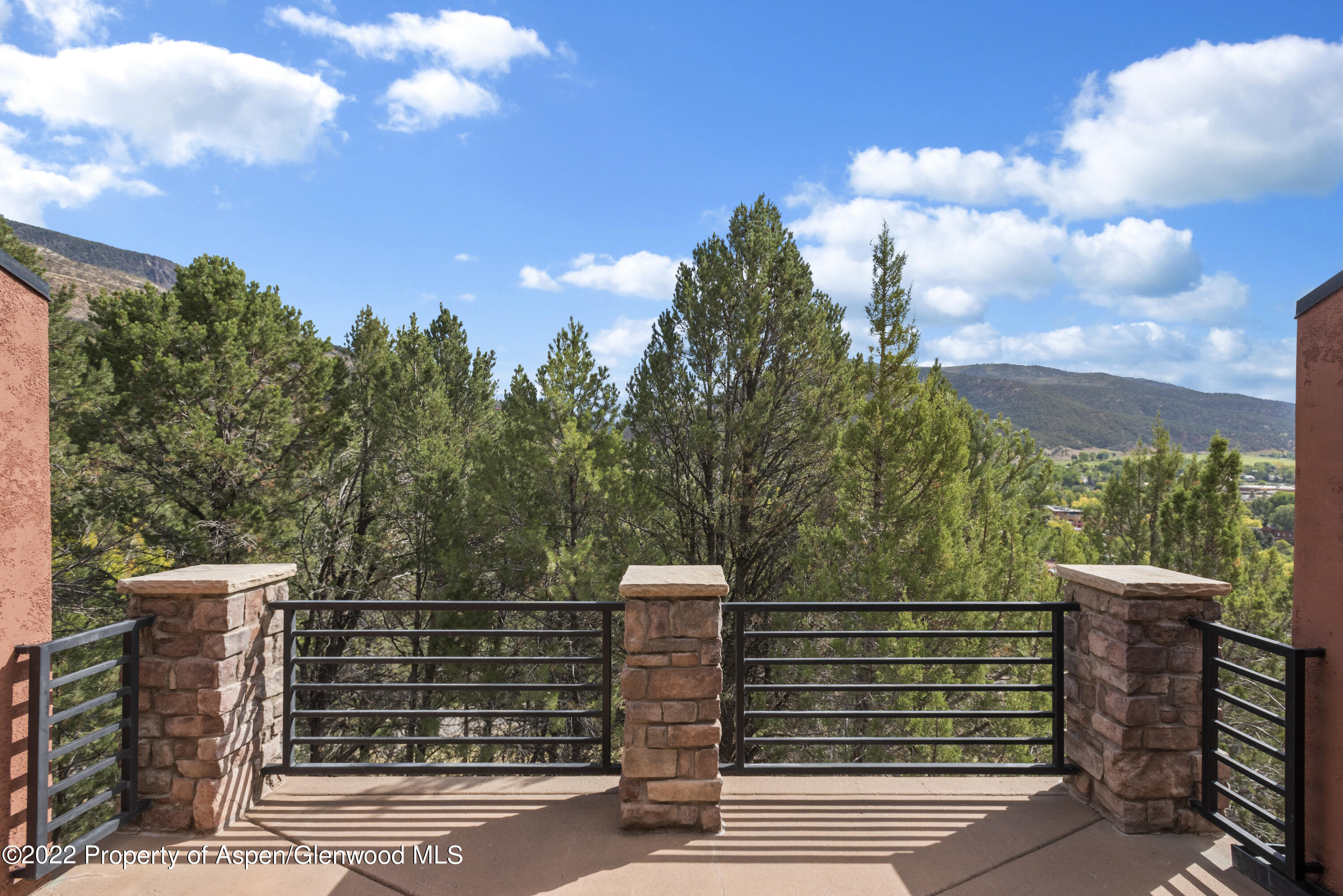 306 Wild Spring Lane Basalt, CO 81621 - Photo 2 of 11 a view of a city from a terrace
