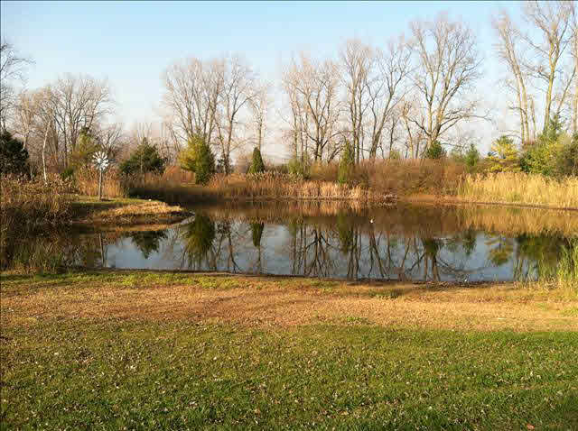 3150 Blue Bush Road Monroe, MI 48162 - Photo 3 of 11 Pond