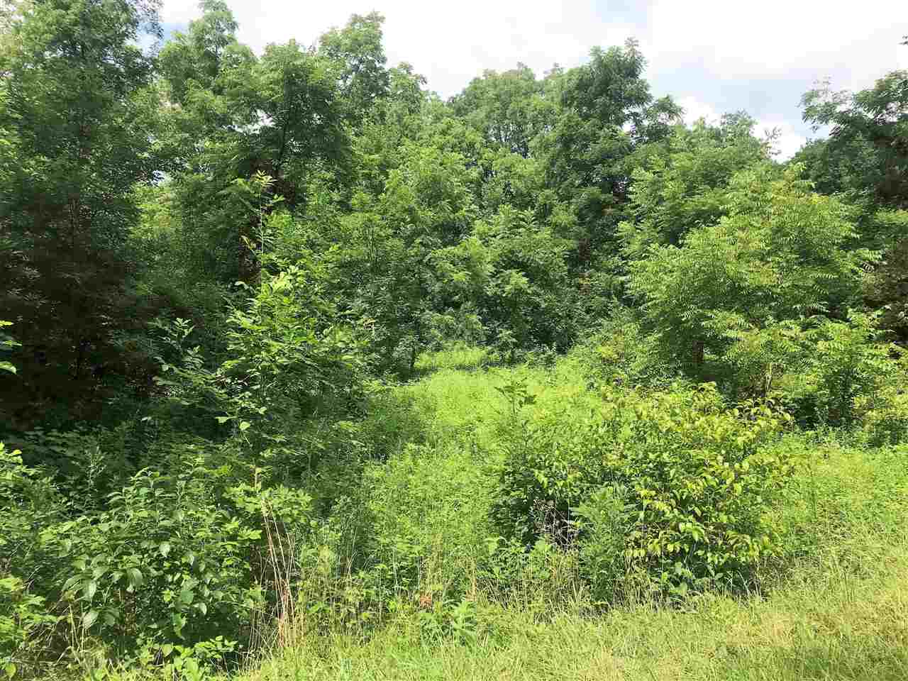 Savage Road Jones, MI 49061 - Photo 8 of 10