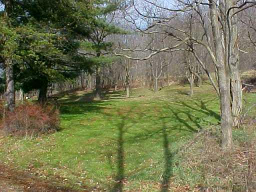 589 Big Knob Road Rochester, PA 15074 - Photo 3 of 3 Other.