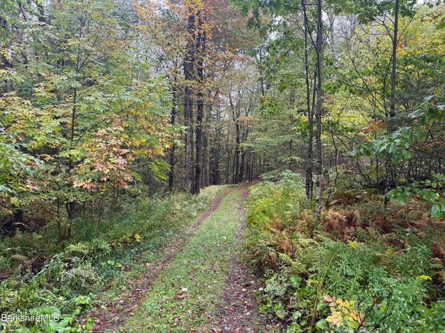 a view of a forest with a building
