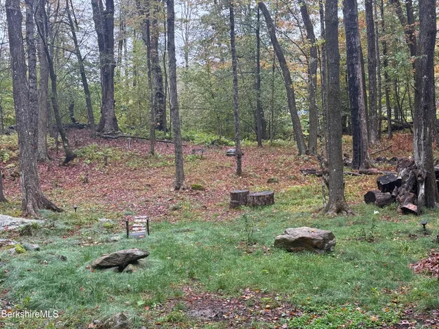 a view of backyard with green space