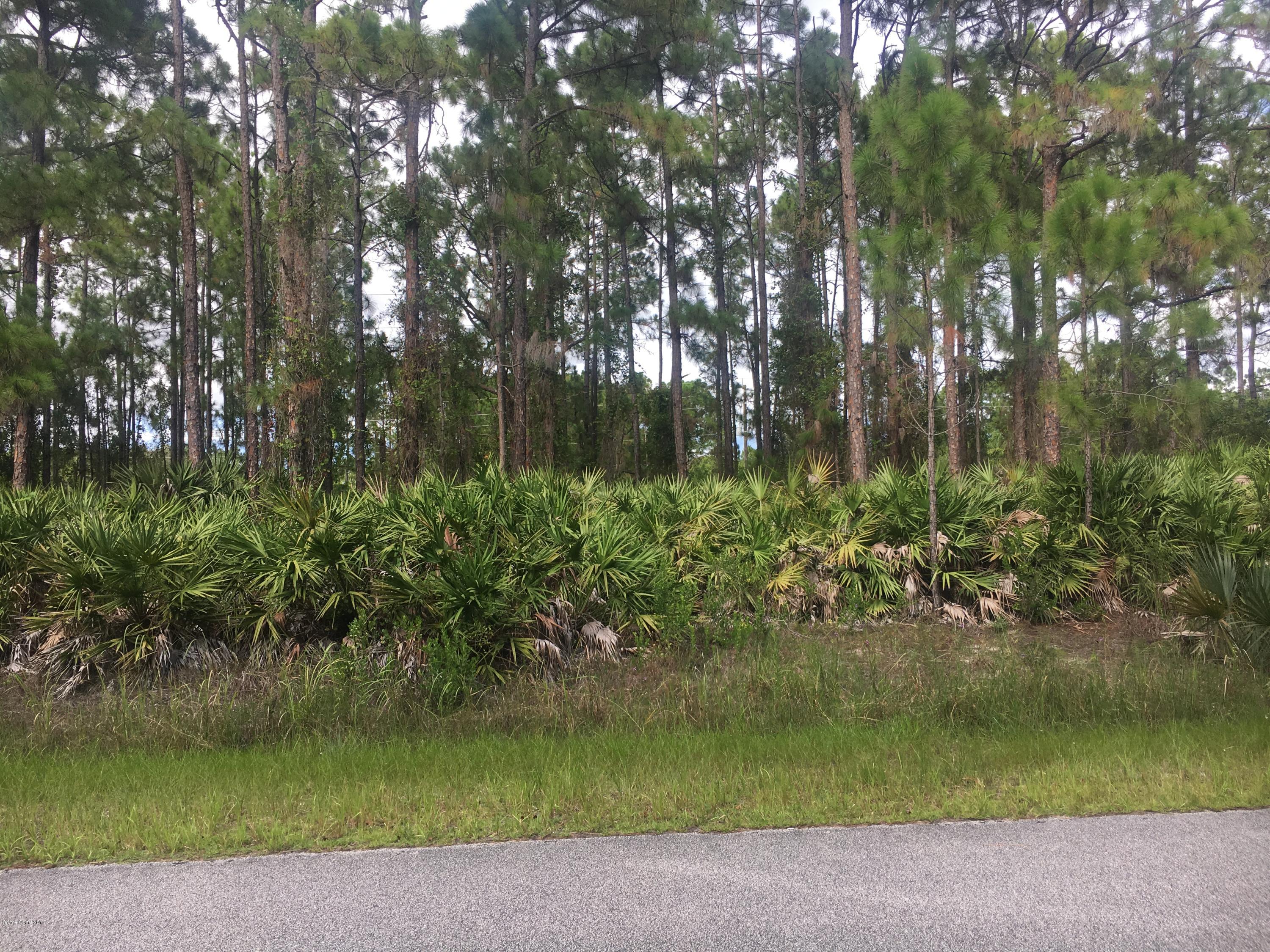 1134 Harlingen Road Southwest Palm Bay, FL 32908 - Photo 1 of 2 Harlingen Vacant Lot2