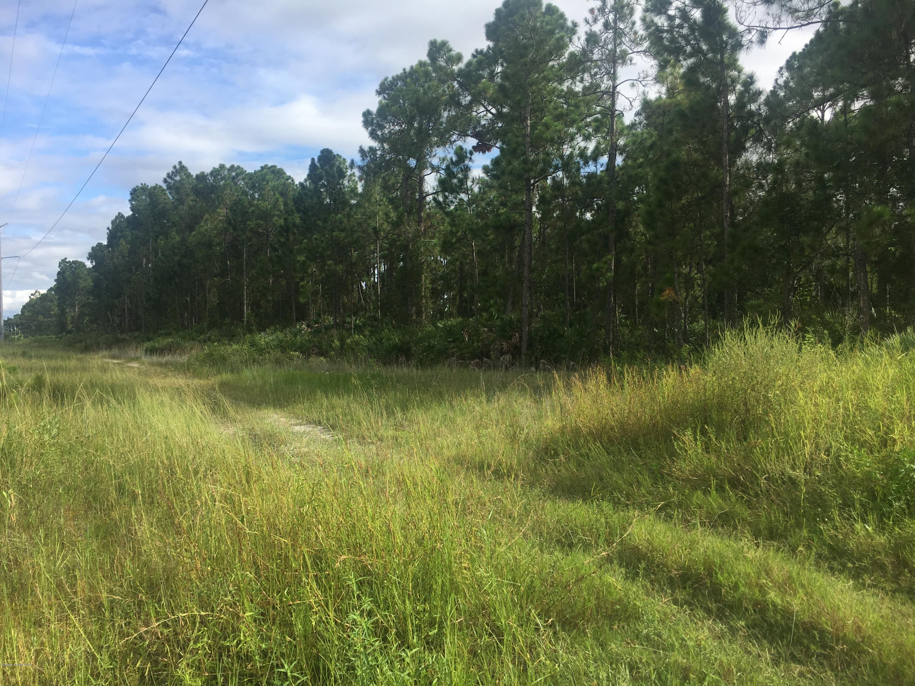 1134 Harlingen Road Southwest Palm Bay, FL 32908 - Photo 2 of 2 Harlingen Vacant Lot3