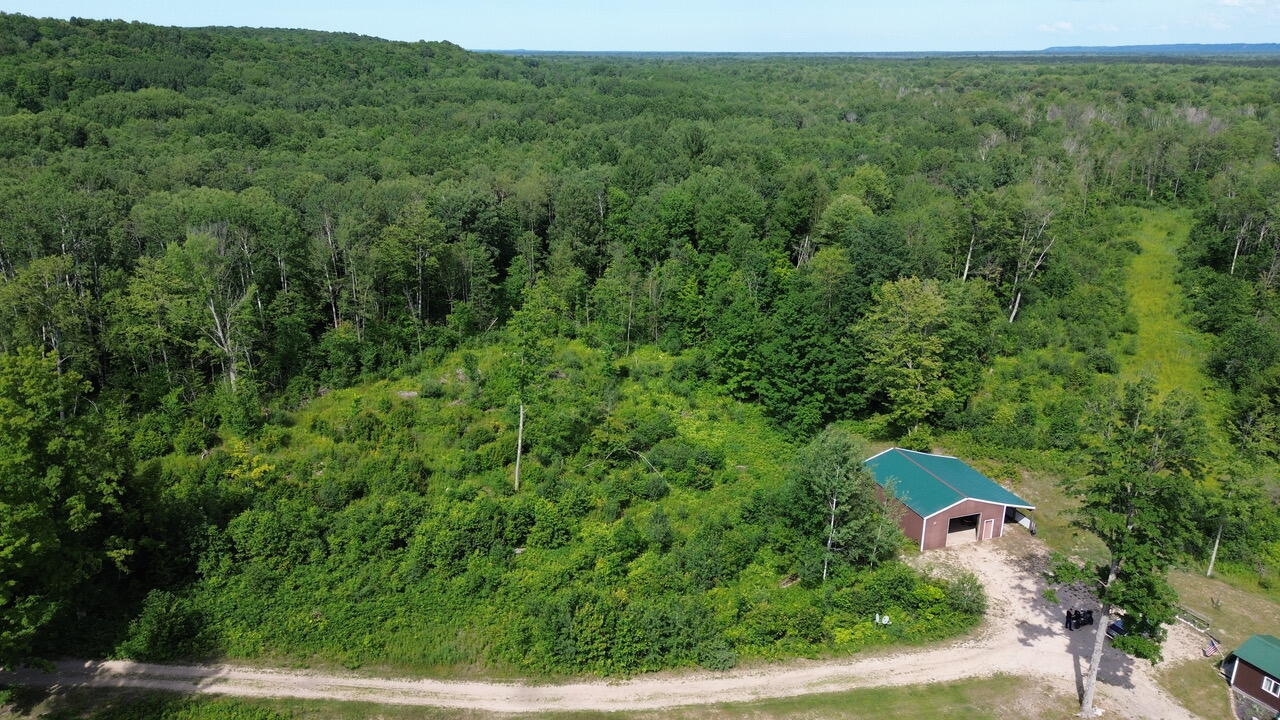 17549 Milnichol Road Thompsonville, MI 49683 - Photo 35 of 36 DJI_0106