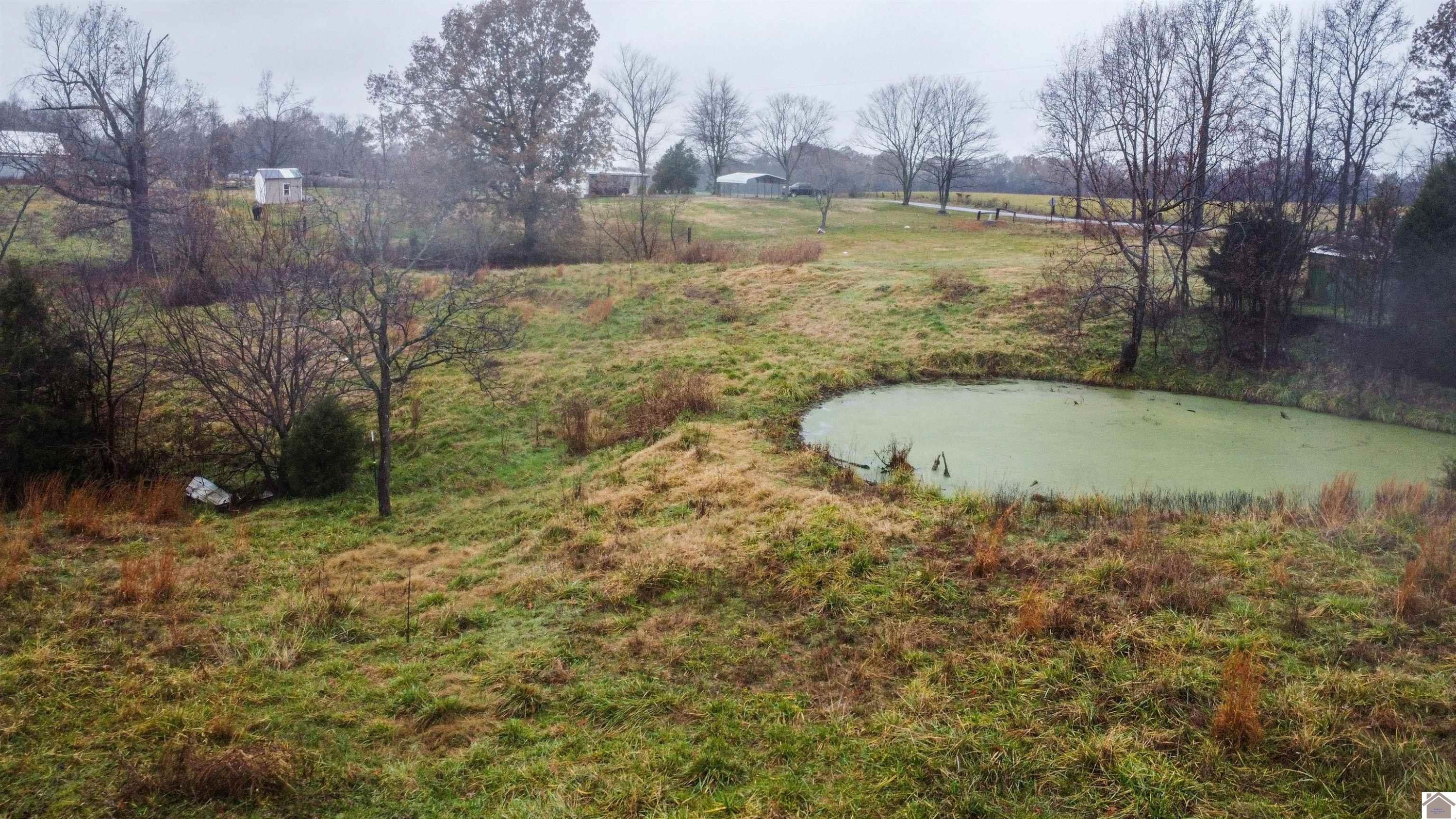 2820 Curd Road Benton, KY 42025 - Photo 6 of 34 Photo 6