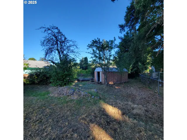 a view of a yard with a tree