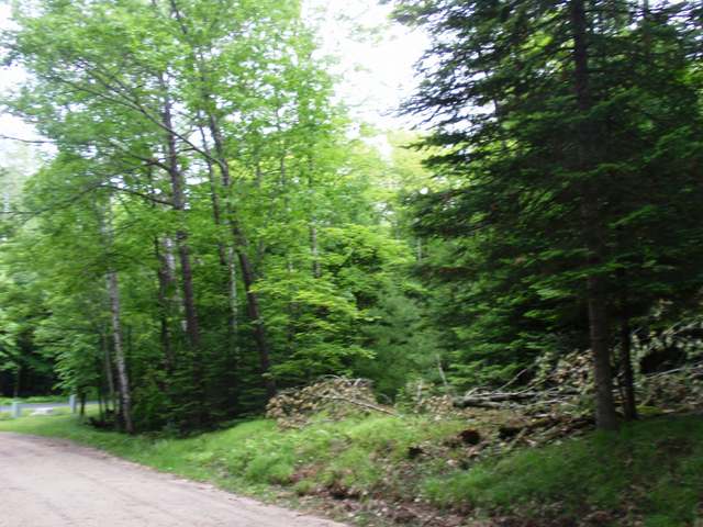 On Maple Lane Eagle River, WI 54521 - Photo 5 of 20 Gallery Image 5