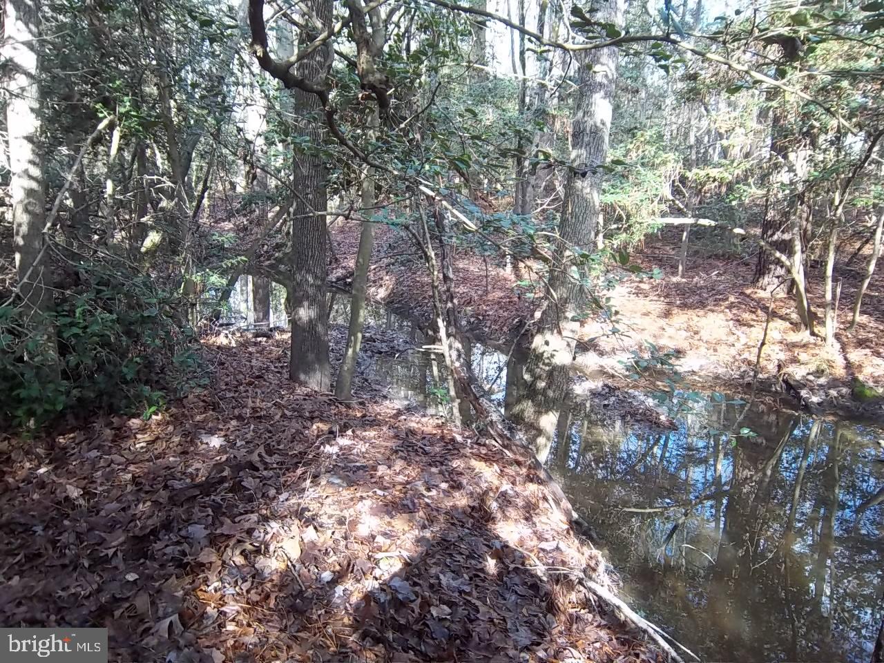 Meadowbrook Road Federalsburg, MD 21632 - Photo 1 of 24 Stream at the back of the property