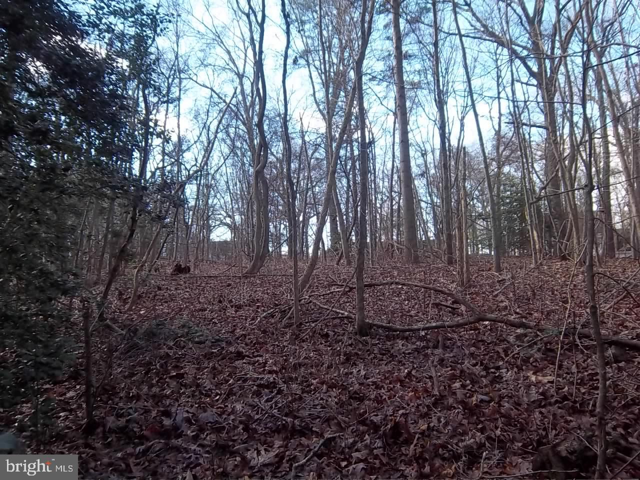 Meadowbrook Road Federalsburg, MD 21632 - Photo 11 of 24 Gallery Image 11