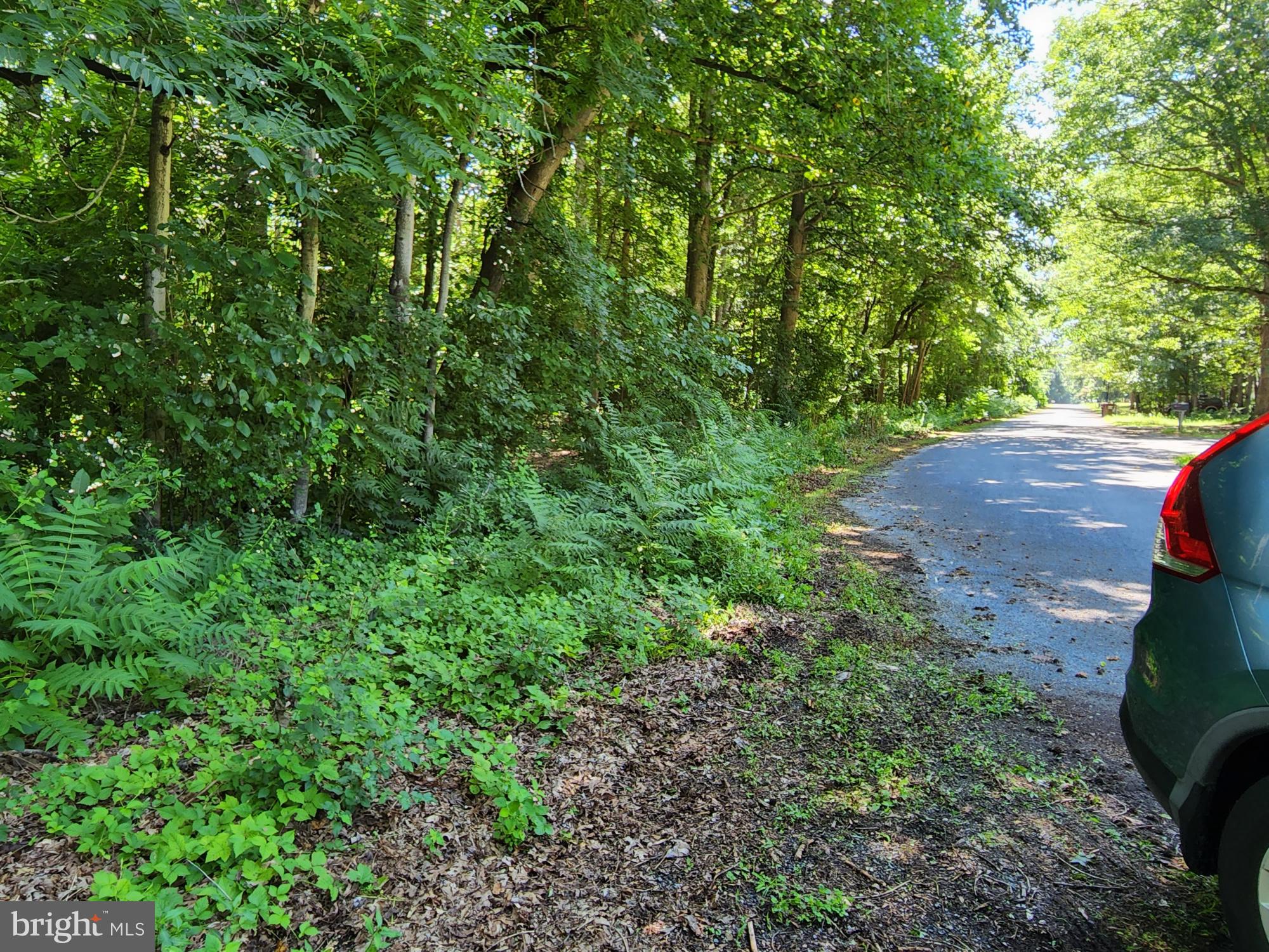 Meadowbrook Road Federalsburg, MD 21632 - Photo 16 of 24 Gallery Image 16