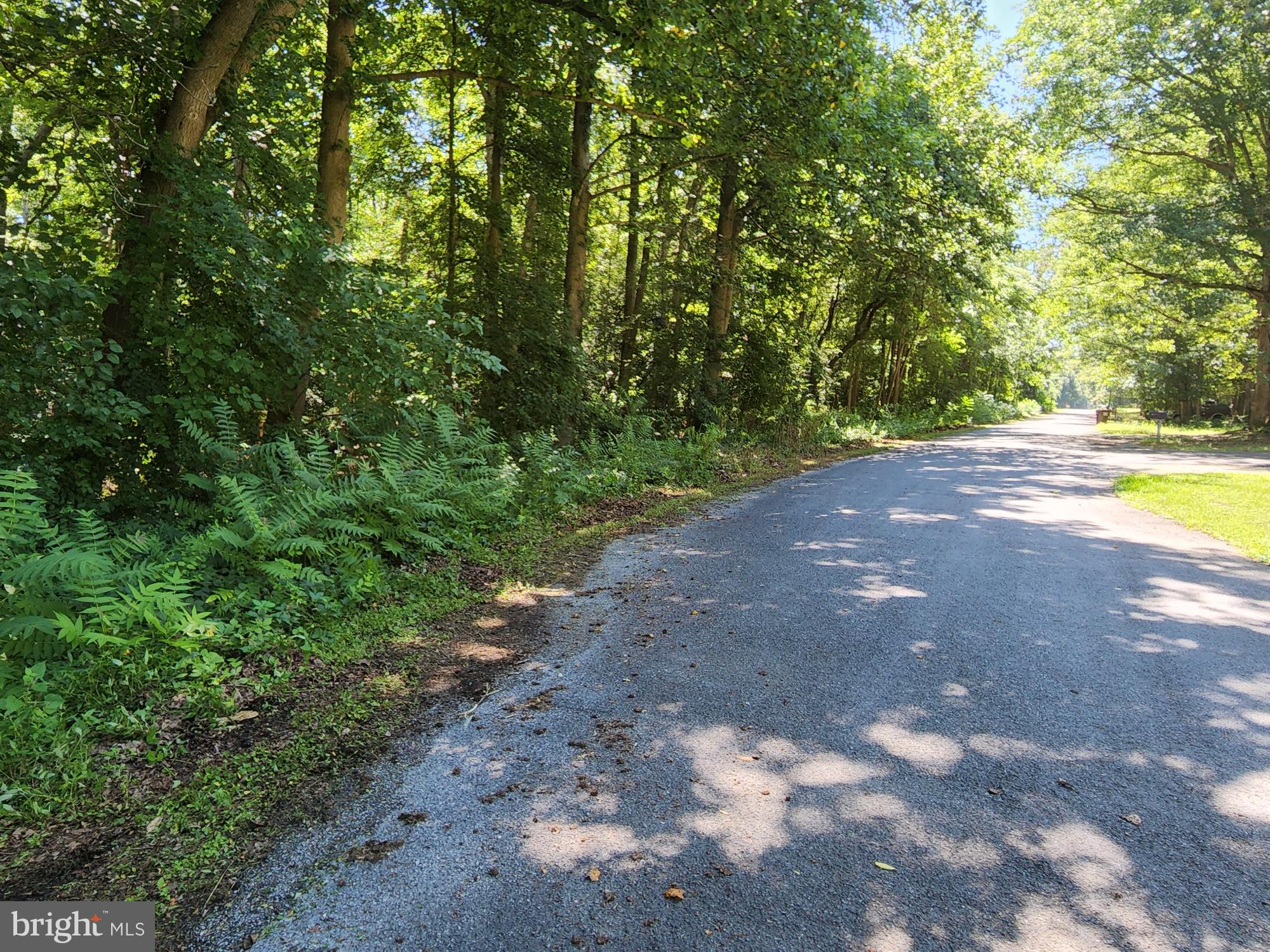 Meadowbrook Road Federalsburg, MD 21632 - Photo 17 of 24 Gallery Image 17
