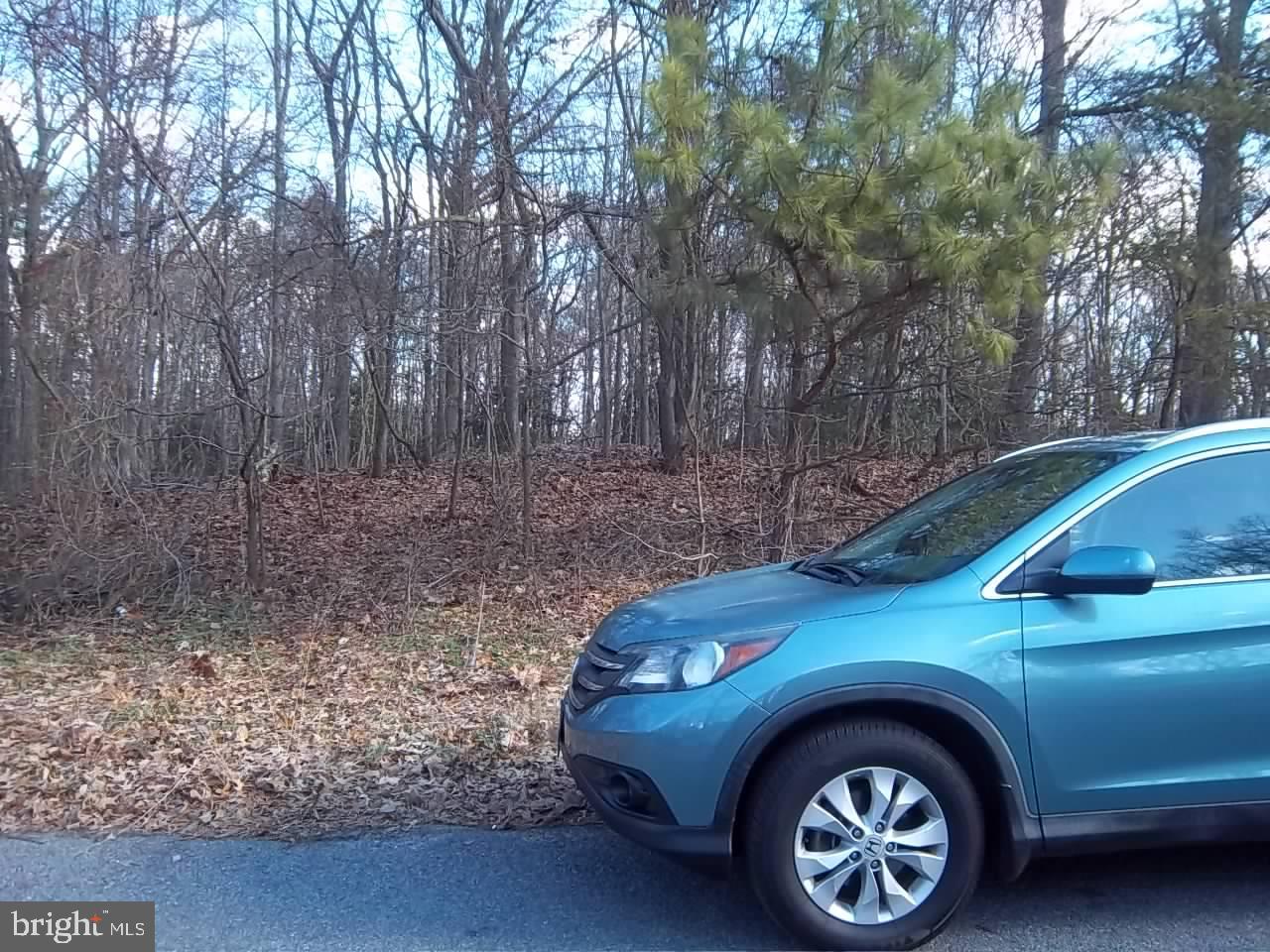 Meadowbrook Road Federalsburg, MD 21632 - Photo 21 of 24 High buildable lot