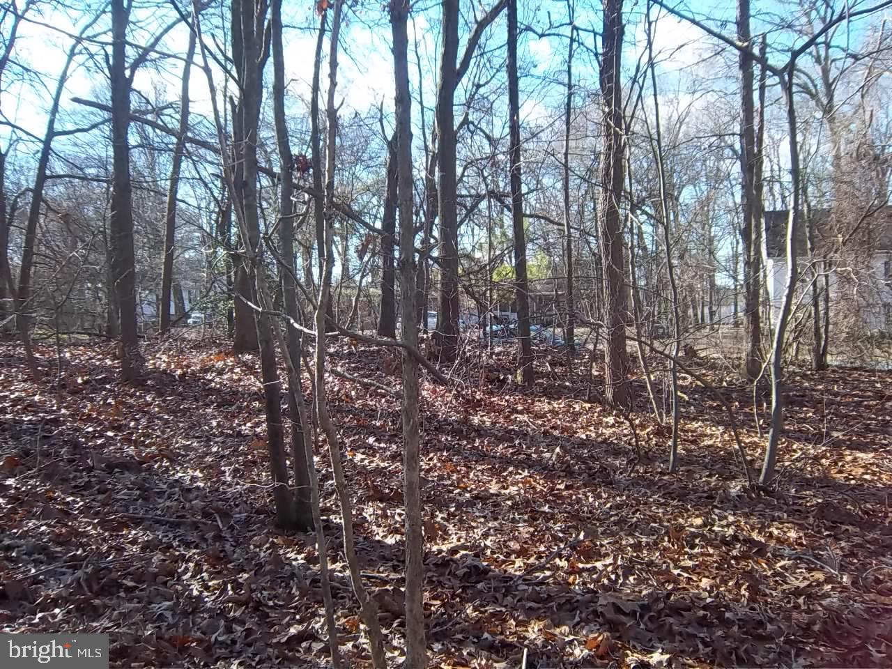 Meadowbrook Road Federalsburg, MD 21632 - Photo 6 of 24 Gallery Image 6
