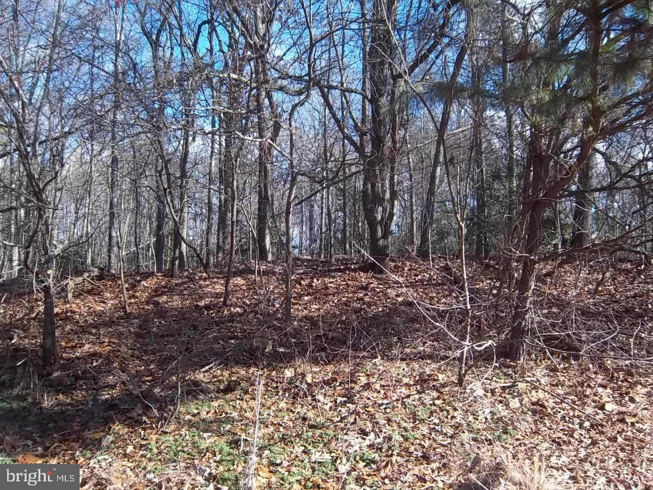 Meadowbrook Road Federalsburg, MD 21632 - Photo 7 of 24 Buildable lot is high from the street