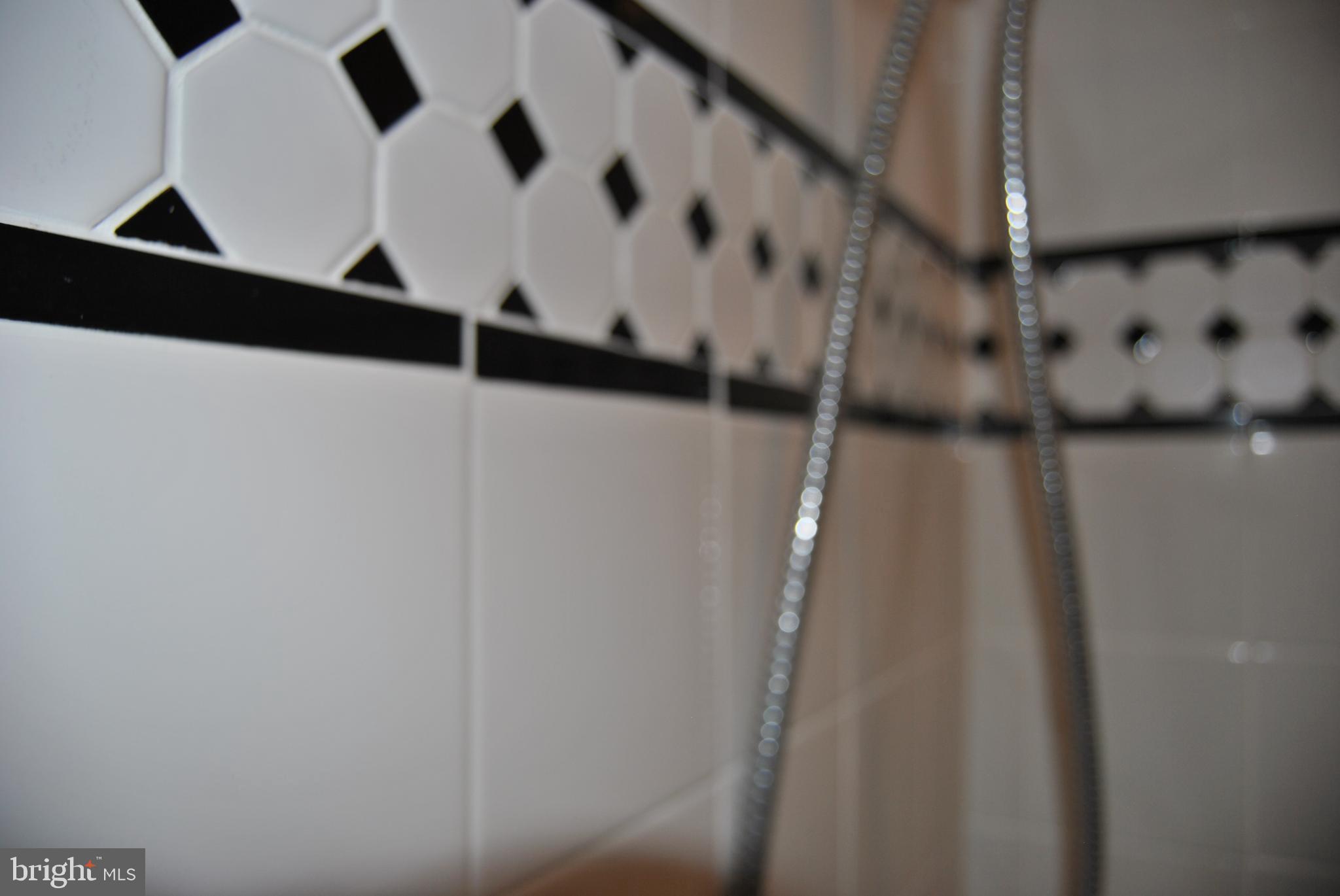 6579 Hemlock Point Road New Market, MD 21774 - Photo 11 of 18 Upstairs bath has this fabulous tile!