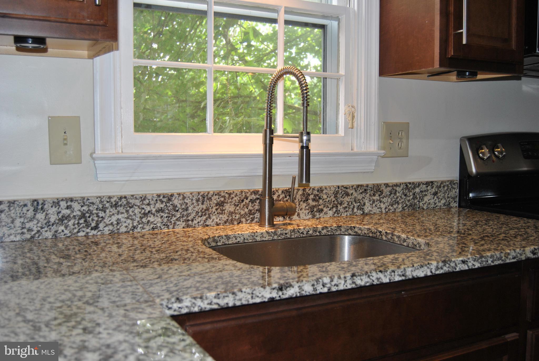 6579 Hemlock Point Road New Market, MD 21774 - Photo 8 of 18 Undermount sink & cool pull out faucet!