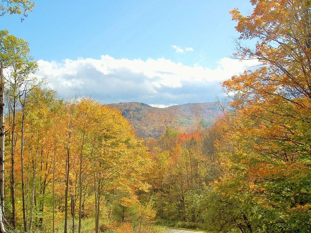 202 Town Line Road Bridgewater, VT 05035 - Photo 25 of 28 Gallery Image 25