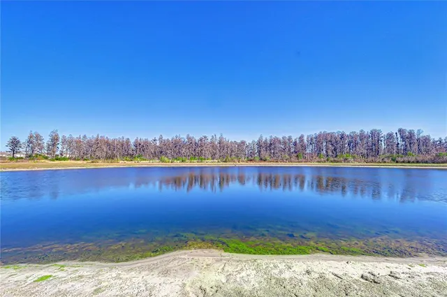 $3,250 | 10422 Gliding Eagle Way, Land O Lakes, FL 34638