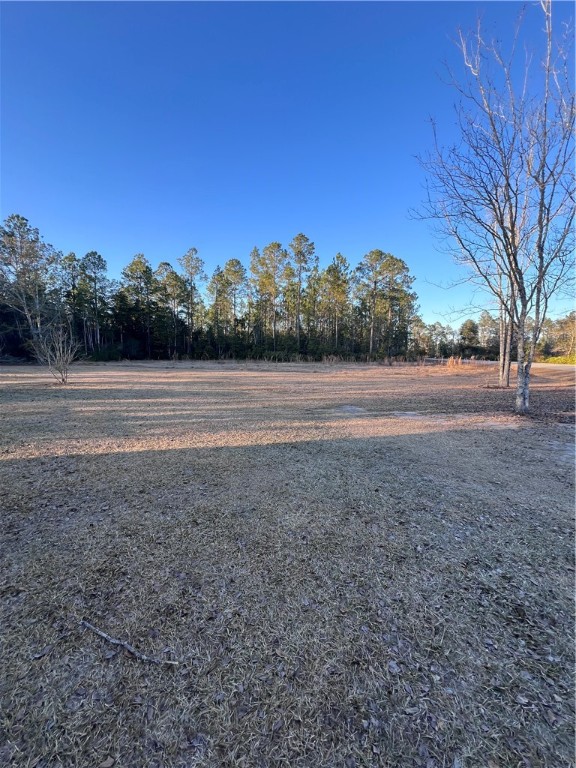 10473 Browntown Road Hortense, GA 31543 - Photo 33 of 40