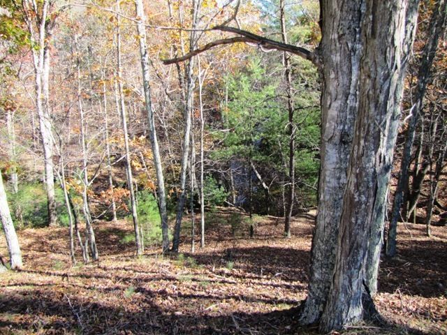 329 Trout Run Road Waiteville, WV 24984 - Photo 54 of 91 Gallery Image 54