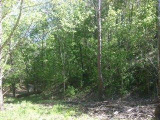 3382 Jackson Ferry Road Winchester, KY 40391 - Photo 3 of 5 Photo 3