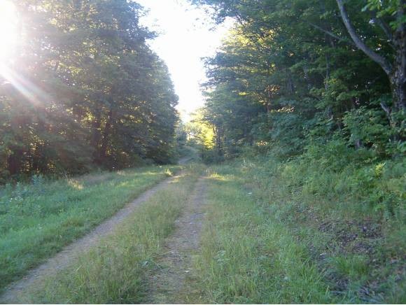 Healdville Road Mount Holly, VT 05758 - Photo 1 of 1