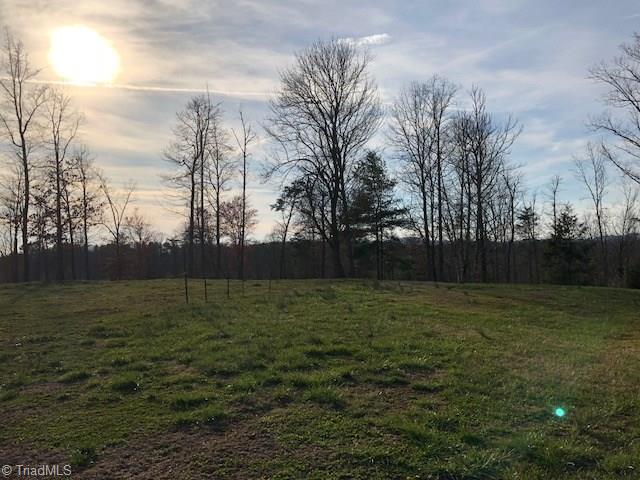 893 Brewer Road Hays, NC 28635 - Photo 6 of 25 View from Back