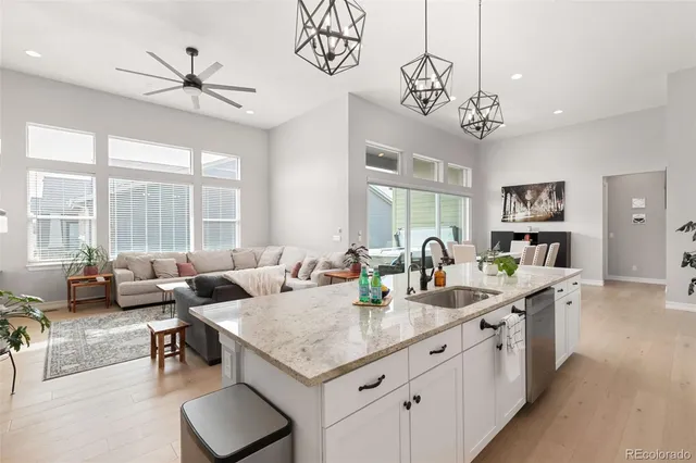 a living room with furniture or couch and a fireplace