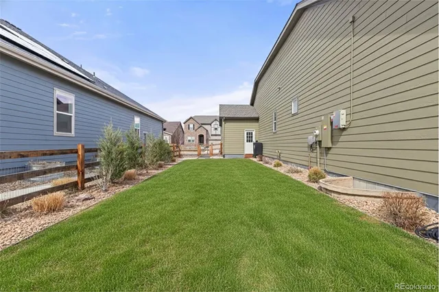 a view of a backyard with plants and large tree