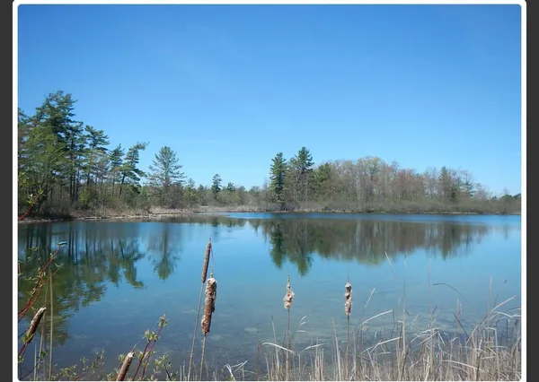 $14,900 | 10345 Morgan Mills Avenue Northeast, Greenville, MI 48838