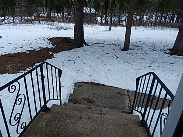 316 South Barre Road Barre, MA 01005 - Photo 6 of 16 a view of a backyard of the house
