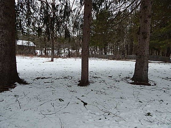 316 South Barre Road Barre, MA 01005 - Photo 7 of 16 a view of a yard with snow