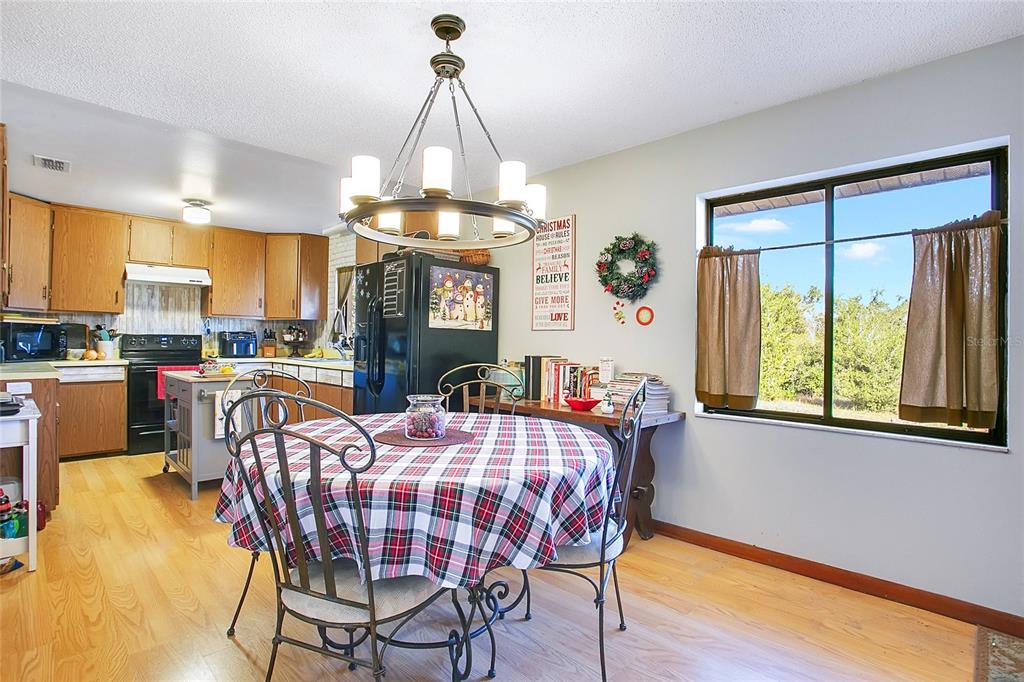 17309 Marsh Road Winter Garden, FL 34787 - Photo 11 of 24