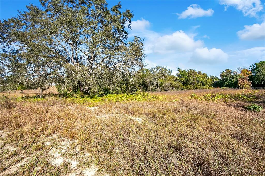 17309 Marsh Road Winter Garden, FL 34787 - Photo 8 of 24