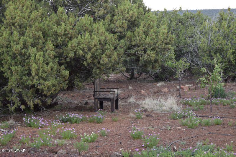 78 N8340 Concho, AZ 85924 - Photo 1 of 26