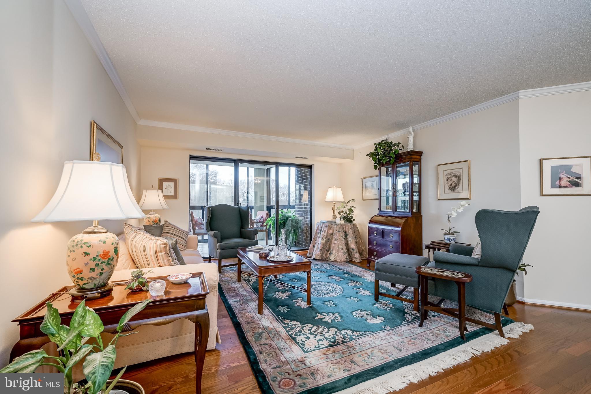 15100 Interlachen Drive, Unit 4521 Silver Spring, MD 20906 - Photo 11 of 44 Living room museum!