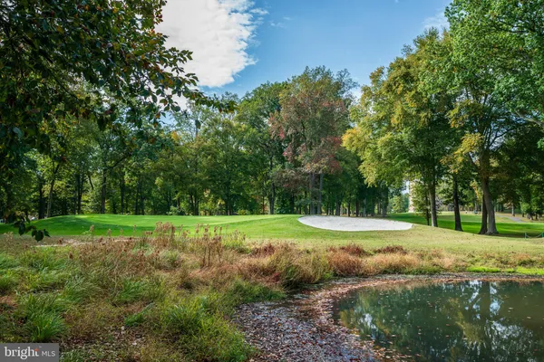 a view of a big yard with large trees