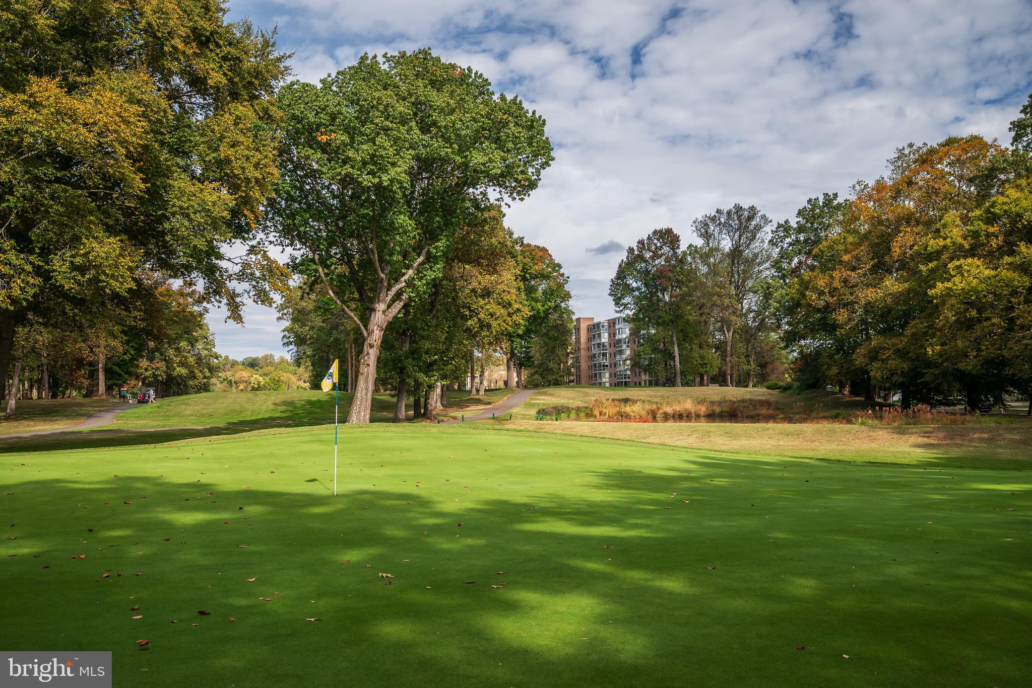 15100 Interlachen Drive, Unit 4521 Silver Spring, MD 20906 - Photo 43 of 44