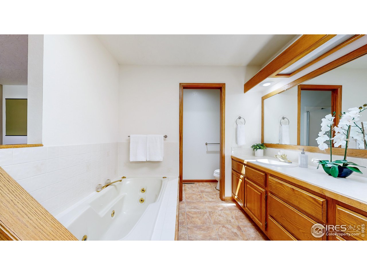 2217 Brixton Road Fort Collins, CO 80526 - Photo 20 of 28 5 piece primary bath with jetted tub