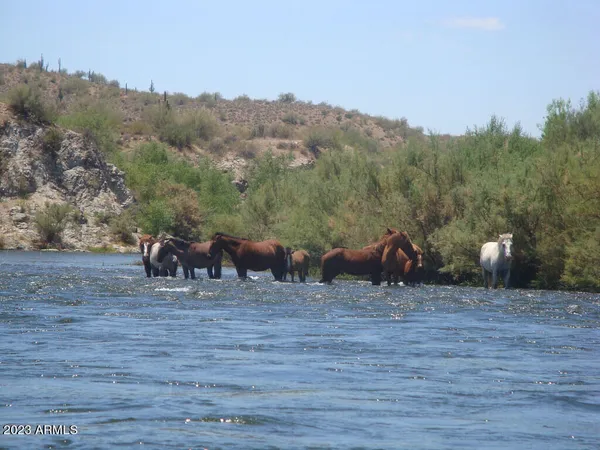 $10,000 | 11317 East Raleigh Avenue, Mesa, AZ 85212