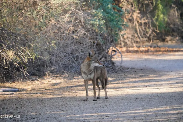 $10,000 | 11317 East Raleigh Avenue, Mesa, AZ 85212