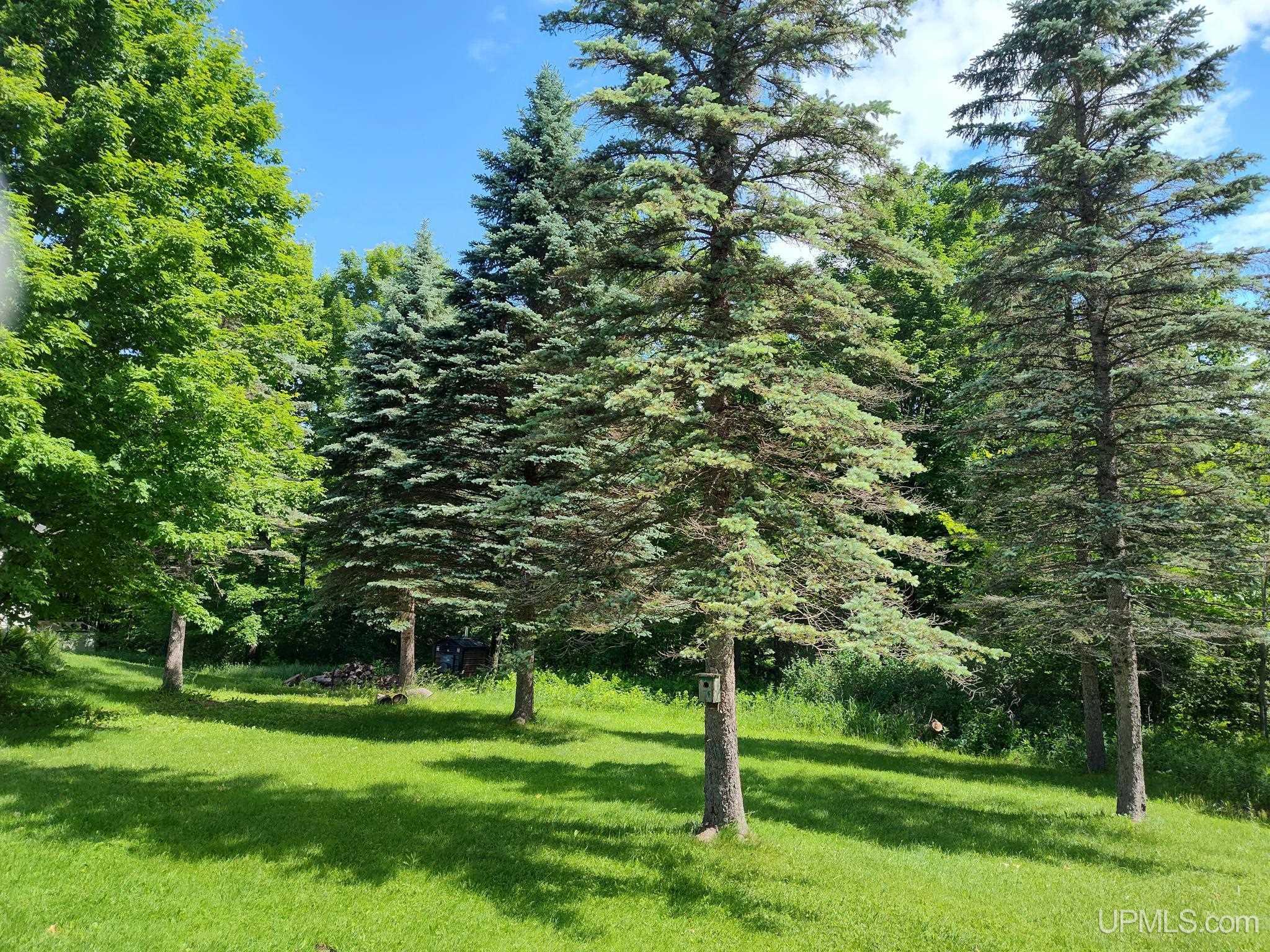 497 Bates-Amasa Road Iron River, MI 49935 - Photo 13 of 40