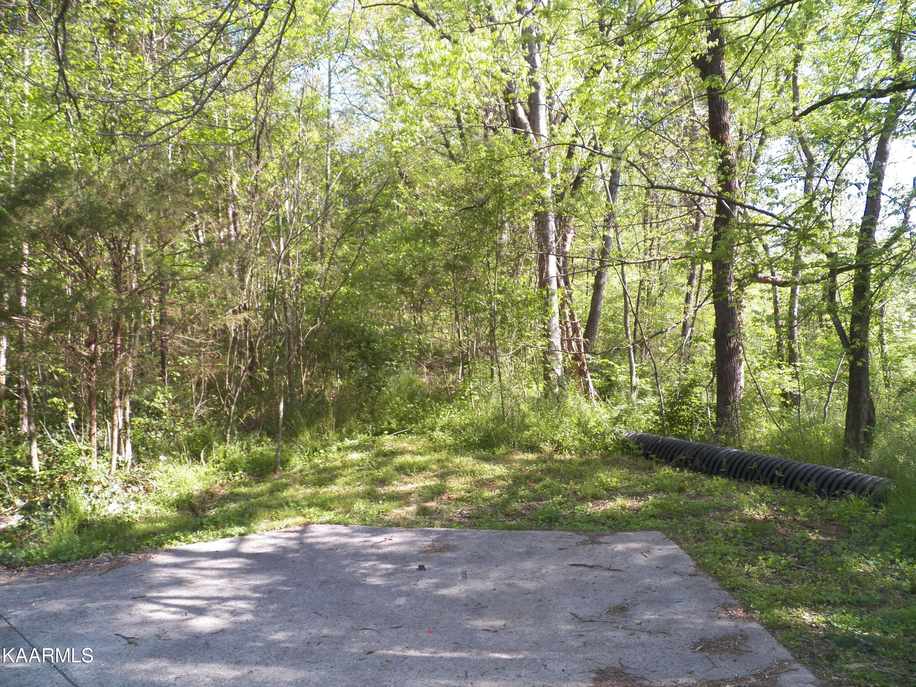 9925 Rausin Road Philadelphia, TN 37846 - Photo 12 of 12 133_2289