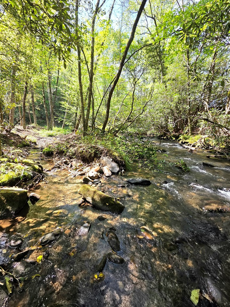 795 Porter Field Gap Road Robbinsville, NC 28771 - Photo 13 of 105