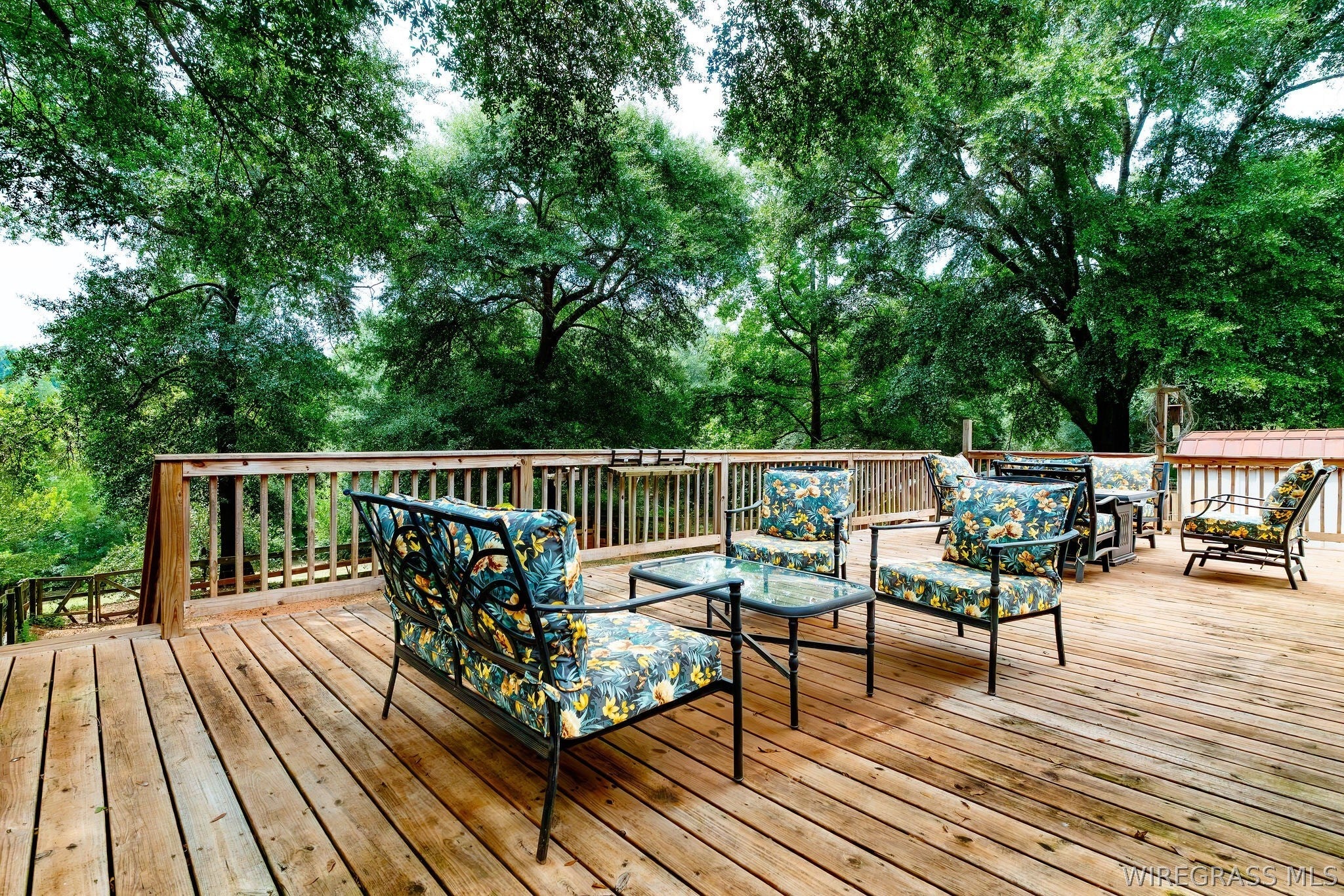 233 Malibu Road Chancellor, AL 36316 - Photo 2 of 41 Gallery Image 2